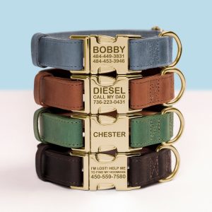 Leather Dog Collar, Gold Hardware Dog Collar, Custom dog collar, Personalized Dog Collar, Leather Leash, Pet collar